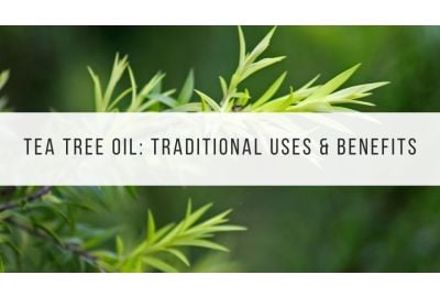 Tea Tree Oil: Traditional Uses & Benefits