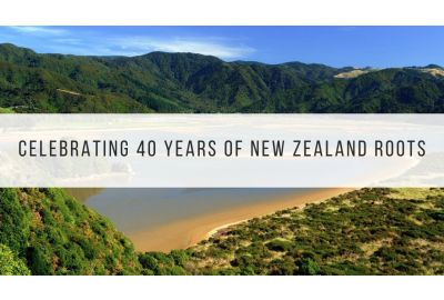 wainui bay new zealand