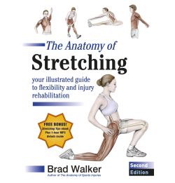Stretching | Injury Rehabilitation | Massage
