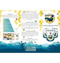 A1 Songbird Information Poster 