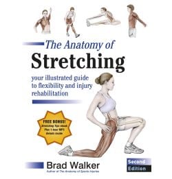 Stretching | Injury Rehabilitation | Massage