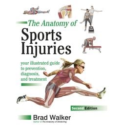 The Anatomy of Sports Injuries