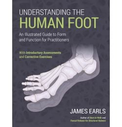 Understanding the Human Foot