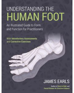 Understanding the Human Foot