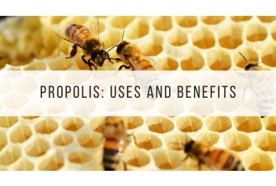 the uses and benefits of propolis