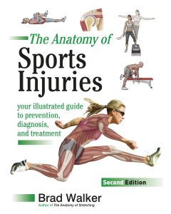 The Anatomy of Sports Injuries